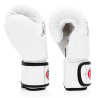 Fairtex BGV8 boxing gloves genuine leather leather - White