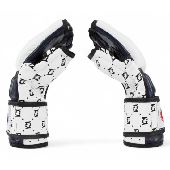 Fairtex FGV17 MMa Sparring Gloves - Ultimate Protection & Comfort